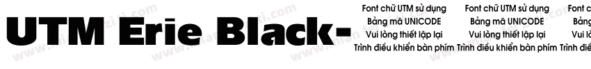 UTM Erie Black字体转换